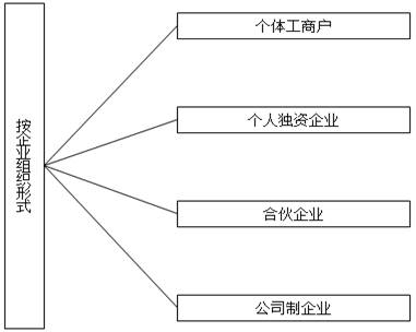 讲义查看