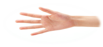 说明: t015186e8f44190e655.jpg