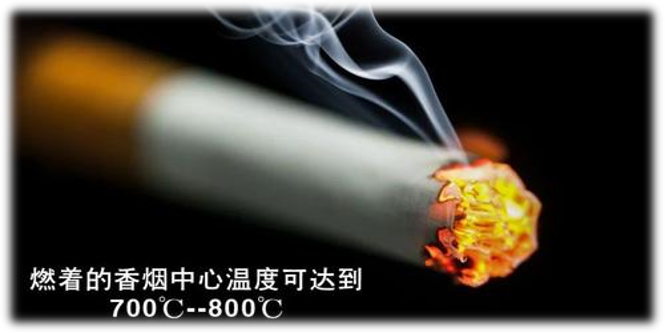 讲义查看